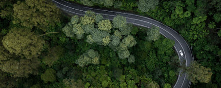 Forest with a bird's eye view of the road